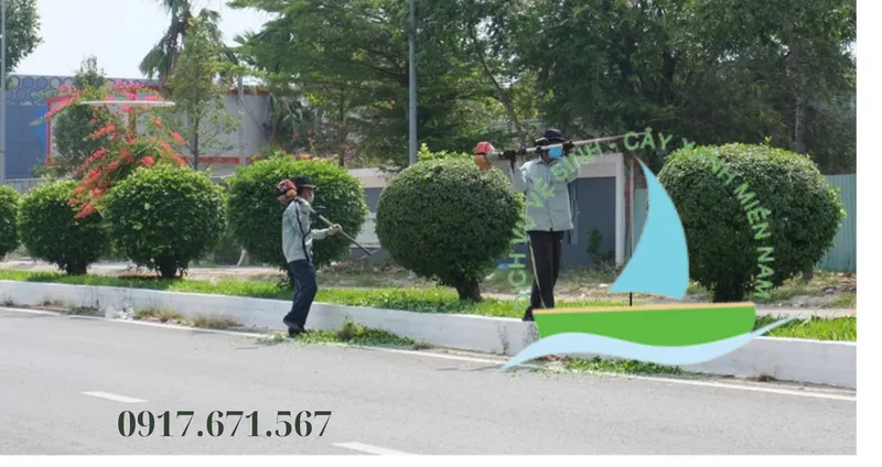 Sản phẩm Noi dung doan van ban cua ban 1 e1760417062925 — Công Ty TNHH Vệ Sinh Cây Xanh Miền Nam — MST 0313894933