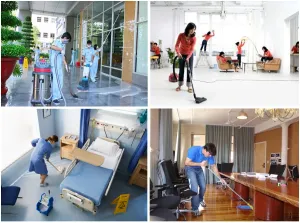 Sản phẩm image 261 300x223 — Công Ty TNHH Vệ Sinh Cây Xanh Miền Nam — MST 0313894933