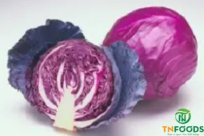 Sản phẩm Bắp cải tím Purple cabbage — Công Ty CP Đầu Tư Và Sản Xuất Nông Sản Trình Nhi — MST 0313903296