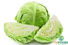 Sản phẩm Bắp cải tươi Fresh cabbage — Công Ty CP Đầu Tư Và Sản Xuất Nông Sản Trình Nhi — MST 0313903296