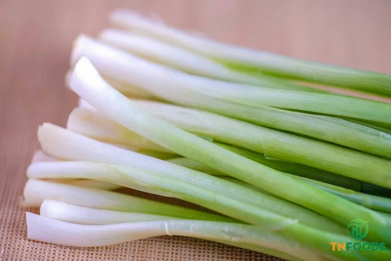 Sản phẩm Hành lá tươi Fresh spring onion 1 Web 1 1024x683 — Công Ty CP Đầu Tư Và Sản Xuất Nông Sản Trình Nhi — MST 0313903296