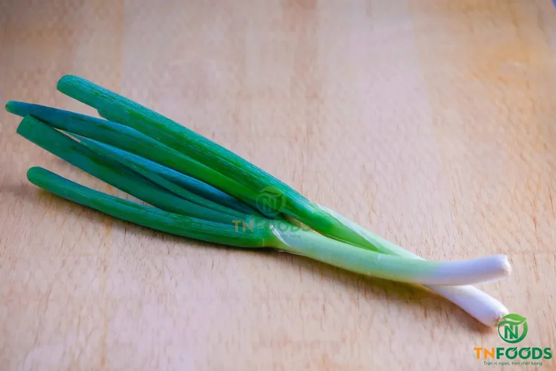 Sản phẩm Hành paro tươi Fresh leek Web 1024x683 — Công Ty CP Đầu Tư Và Sản Xuất Nông Sản Trình Nhi — MST 0313903296