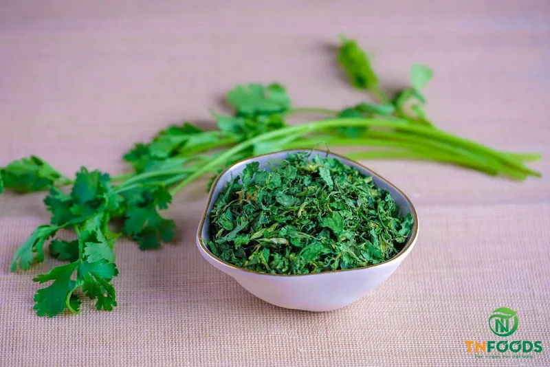 Sản phẩm Ngò rí sấy Dried coriander Web 1024x683 — Công Ty CP Đầu Tư Và Sản Xuất Nông Sản Trình Nhi — MST 0313903296