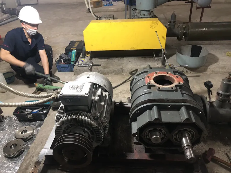 Sản phẩm z4589054399206 b46562472cb29daee927b5634c975548 — Công Ty TNHH Dịch Vụ Kỹ Thuật Kim Phát — MST 0313904772