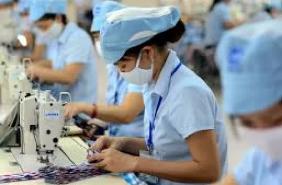 Sản phẩm images 8433 — Công Ty CP Đầu Tư Sản Xuất Dệt Kim Trần Đô — MST 0313908142