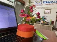 Sản phẩm day dai thuong kieu det double_200x200 — Dây Đai Dệt, Dây Thun Dệt Vikay - Công Ty TNHH TM SX Vikay — MST 0313921256