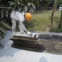 Sản phẩm chong tham nha ve sinh — Công Ty Cổ Phần Thương Mại Và Kỹ Thuật Sài Gòn MPT — MST 0313934061