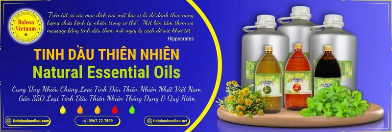 Sản phẩm tinh dau thien nhien dalosa vn — Tinh Dầu Thảo Dược Dalosa - Công Ty TNHH Tinh Dầu Thảo Dược Dalosa Việt Nam — MST 0313944542