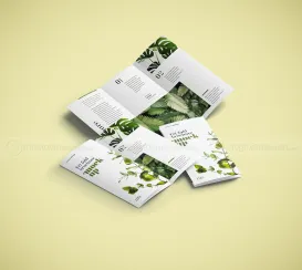 Sản phẩm brochure 17626622100 — Công Ty TNHH Thiết Kế In Nhanh Trường Thái — MST 0313950521