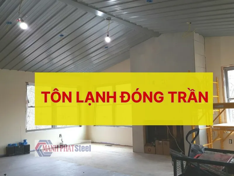 Sản phẩm ton lanh dong tran — Sắt Thép Mạnh Phát - Công Ty TNHH Sắt Thép Mạnh Phát — MST 0313956555