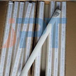 Sản phẩm Bong den chup ban 2 1 300x300 — Vật Tư In ấn IPT - Công Ty TNHH Đầu Tư IPT — MST 0313973254