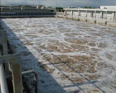 Sản phẩm MBBR 1 sua — Công Ty TNHH TM DV Mộc Việt — MST 0313975068