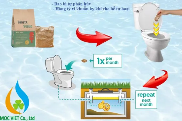 Sản phẩm septic friendly 11 1 601x400 — Công Ty TNHH TM DV Mộc Việt — MST 0313975068