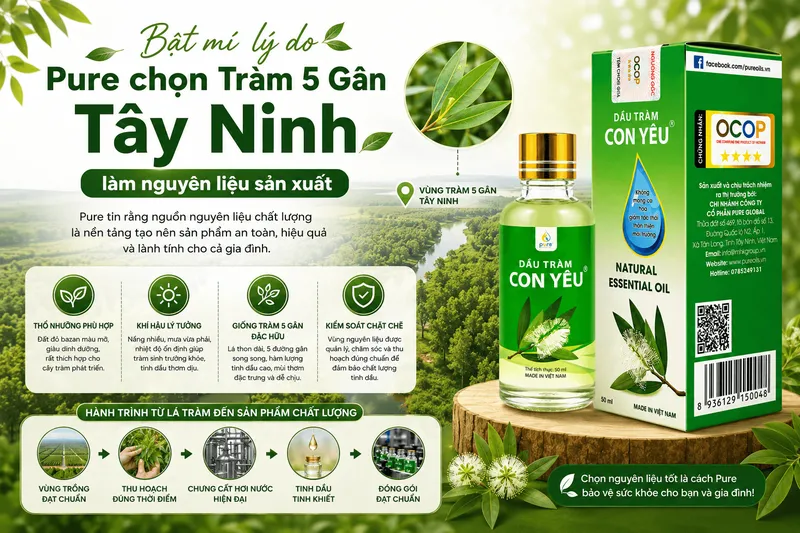 Sản phẩm bat mi ly do pure chon tram 5 gan tay ninh lam nguyen lieu san xuat — Công Ty Cổ Phần PURE GLOBAL — MST 0313991052
