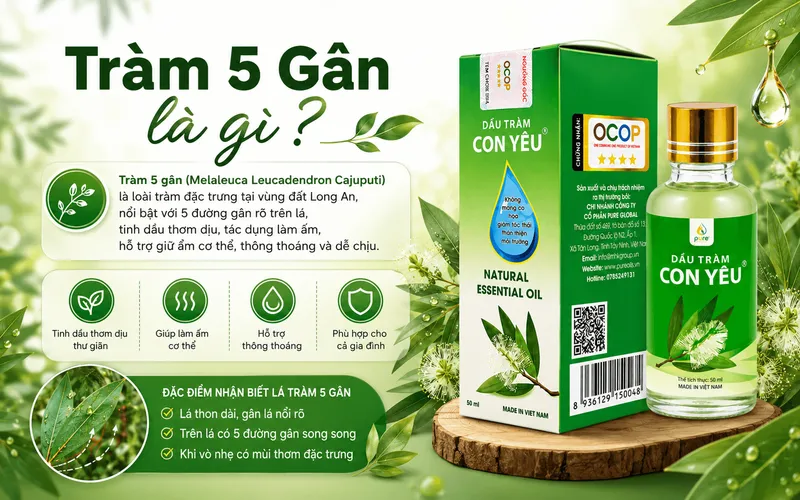 Sản phẩm tram 5 gan la gi kham pha nguon goc dau tram con yeu pure tai vung nguyen lieu tay ninh — Công Ty Cổ Phần PURE GLOBAL — MST 0313991052
