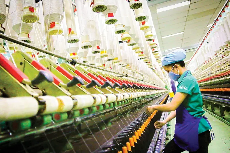 Sản phẩm s — Công Ty TNHH HYORIM VINA — MST 0314008169