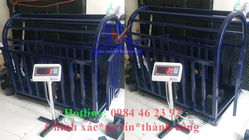 Sản phẩm Cân động vật 300kg 500kg 1 tấn 2 tấn 3 tấn — Công Ty TNHH TM Và DV Cân Điện Tử Hoàn Khôi — MST 0314014557