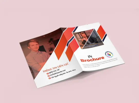 Sản phẩm in brochure 1 — Công Ty TNHH In ấn Thiết Kế Siêu Việt — MST 0314017893