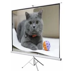Sản phẩm man chieu 3 chan dalite 100 inch 247x247 — Công Ty TNHH Thương Mại Xuất Nhập Khẩu TCT — MST 0314019266