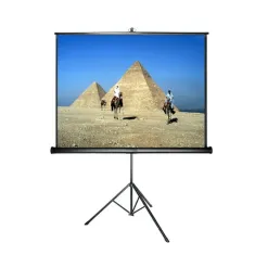 Sản phẩm man chieu 3chan 100inch 247x247 — Công Ty TNHH Thương Mại Xuất Nhập Khẩu TCT — MST 0314019266
