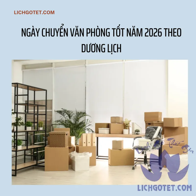 Sản phẩm 1 ngay tot chuyen phong — Công Ty TNHH Sản Xuất Thương Mại Dịch Vụ VuViTa — MST 0314074644