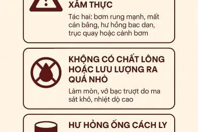 Sản phẩm chatgpt image 131845 5 thg 11 2025 1762323847.png — Công Ty TNHH Propack — MST 0314078342