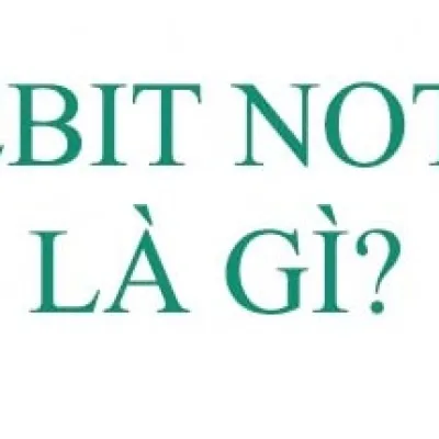 Sản phẩm debitnotlagi 1981.jpg — Công Ty TNHH Sản Xuất Thương Mại Và Dịch vụ Vận Tải Trường Thịnh — MST 0314092146