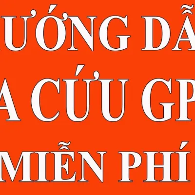 Sản phẩm huongdantracuugiaypheplaixe 8089.jpg — Công Ty TNHH Sản Xuất Thương Mại Và Dịch vụ Vận Tải Trường Thịnh — MST 0314092146