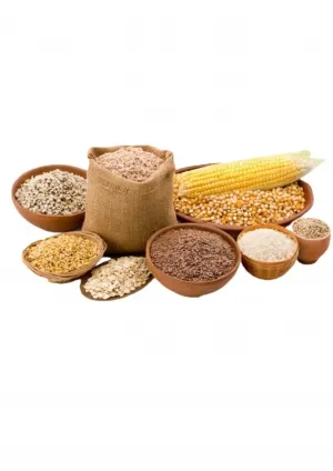 Sản phẩm annimal feeds 681 img — Nông Sản Viet Seafarm - Công Ty TNHH Viet Seafarm — MST 0314105518