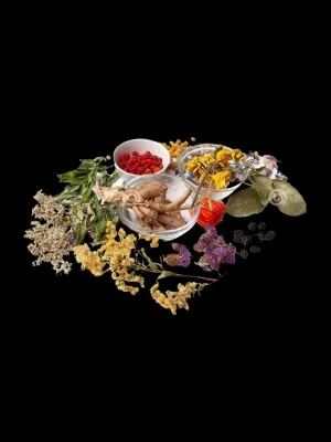 Sản phẩm medicine img — Nông Sản Viet Seafarm - Công Ty TNHH Viet Seafarm — MST 0314105518