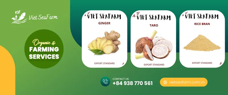 Sản phẩm s2 9031 hinh — Nông Sản Viet Seafarm - Công Ty TNHH Viet Seafarm — MST 0314105518