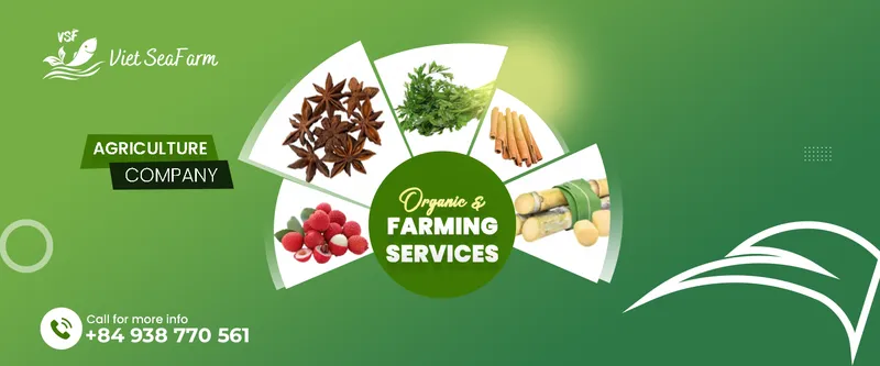 Sản phẩm sl1 9480 hinh — Nông Sản Viet Seafarm - Công Ty TNHH Viet Seafarm — MST 0314105518