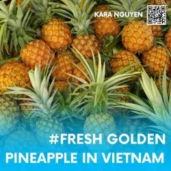Sản phẩm  98 513 — Nông Sản Viet Seafarm - Công Ty TNHH Viet Seafarm — MST 0314105518