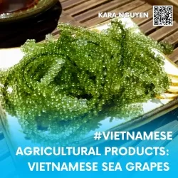 Sản phẩm KARA (1) — Nông Sản Viet Seafarm - Công Ty TNHH Viet Seafarm — MST 0314105518
