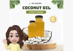 Sản phẩm how to cook chicken curry with coconut milk 1 — Nông Sản Viet Seafarm - Công Ty TNHH Viet Seafarm — MST 0314105518