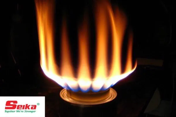 Sản phẩm 1 601x400 — Công Ty TNHH Quốc Tế Phi Trường — MST 0314106303