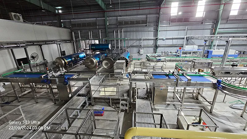 Sản phẩm KV may xep lon vao sot — Thành Huy - Công Ty TNHH Cơ Khí Thương Mại Thành Huy — MST 0314126518