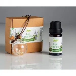 Sản phẩm tinh dau treo xe o to treo phong luc bac ha 10ml tang kem lo ko co hoa kho_300x300 — Tinh Dầu Thiên Nhiên Hi Ta - Công Ty TNHH Một Thành Viên Xuất Nhập Khẩu - Thương
Mại - Dịch Vụ Hi Ta — MST 0314127423
