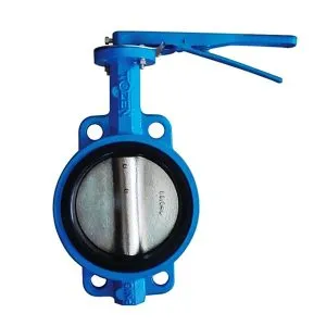Sản phẩm van buom mat lang tay gat 1 300x300 — Công Ty TNHH TM DV KT Khang Thịnh — MST 0314141523