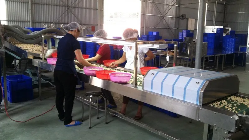Sản phẩm 163616_6 — Băng Tải Dây Curoa Minh Quốc - Công Ty CP Kỹ Thuật TM Minh Quốc — MST 0314158862