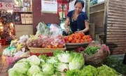 Sản phẩm 644120828859 — Băng Tải Dây Curoa Minh Quốc - Công Ty CP Kỹ Thuật TM Minh Quốc — MST 0314158862