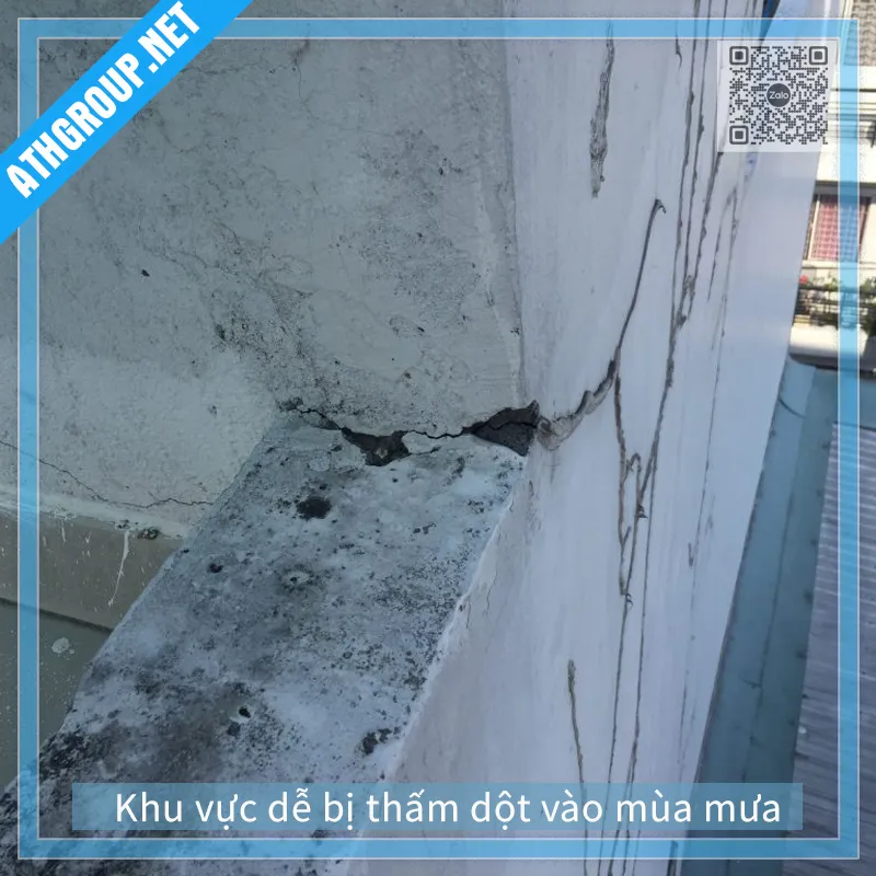 Sản phẩm khu vuc de bi tham dot trong nha — Công Ty TNHH Đầu Tư Phát Triển Thương Mại ATH — MST 0314169208