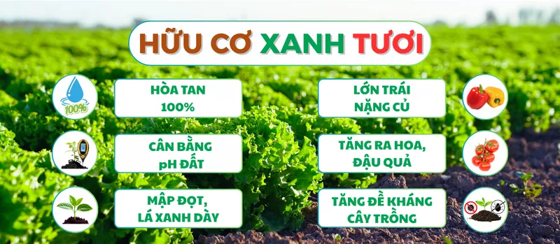 Sản phẩm hinh2 — Công Ty TNHH Xuất Nhập Khẩu Xanh Tươi — MST 0314174328