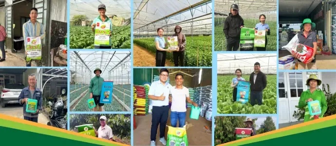 Sản phẩm hinh3 — Công Ty TNHH Xuất Nhập Khẩu Xanh Tươi — MST 0314174328