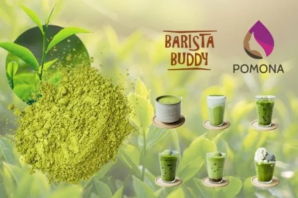 Sản phẩm 5 bi mat nho cua bot matcha pha che 600x400 — Công Ty TNHH Barista Buddy Việt Nam — MST 0314185295