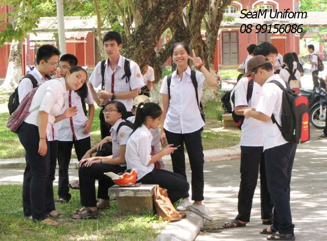 Sản phẩm 95501453740118_ngocha1_copy1 — Công Ty TNHH Sản Xuất Kinh Doanh Dịch Vụ Hải Nam — MST 0314186958