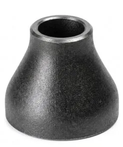 Sản phẩm con thu thep han 1 247x296 — Công Ty TNHH XNK Dịch Vụ Thành Nam — MST 0314187623