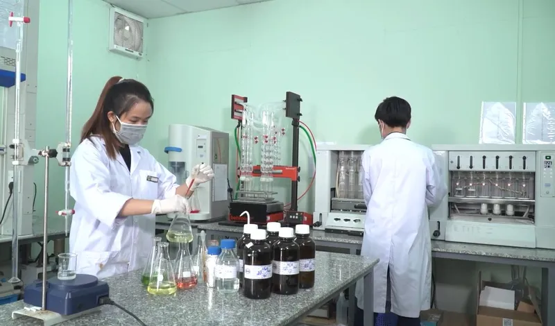 Sản phẩm Hinhthunghiem 1 — Công Ty Cổ Phần Chứng Nhận Và Giám Định Saigoncert — MST 0314196466