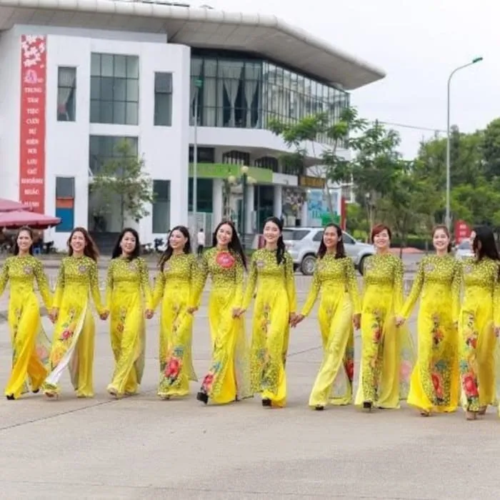 Sản phẩm vai ao dai dep 14 — In Vải Phượng Hoàng - Công Ty TNHH In ấn Phượng Hoàng — MST 0314198093