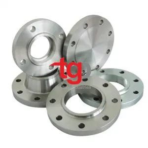Sản phẩm MAT BICH VA MAT BICH MU INOX 300x300 — Công Ty TNHH Thương Mại Dịch Vụ Xuất Nhập Khẩu Trường Gia Phát — MST 0314199812